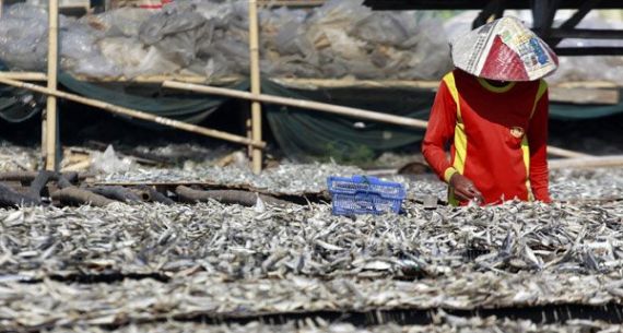 Curah Hujan Tinggi, Proses Pembuatan Ikan Asin Molor - JPNN.com