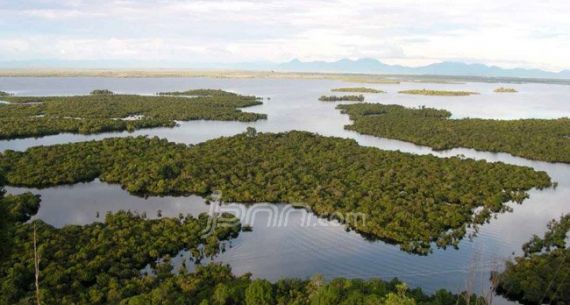 Lihat, Keindahan Alami Taman Nasional Danau Sentarum - JPNN.com