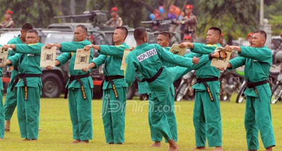 Keren, Prajurit Kopassus Unjuk Kemampuan Bela Diri - JPNN.com