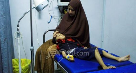 Ribuan Lebah Mengamuk, Sengat Pengunjung Kebun Raya Bogor - JPNN.com