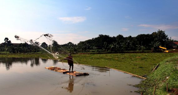 Tanaman Gulma Tutupi Situ Tujuh Muara - JPNN.com