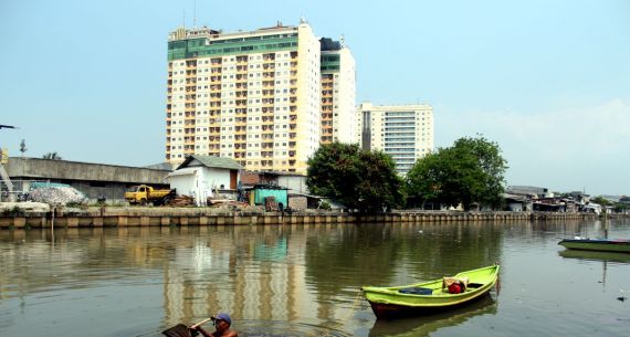 Cacing Sutra Untuk Pakan Ikan - JPNN.com