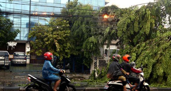 Kabel Listrik Terbakar Akibat Pohon Tumbang - JPNN.com