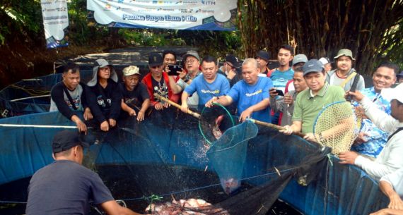 Panen Ikan Nila Jurnalis Mancing Indonesia - JPNN.com