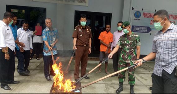 BNNP Papua Musnahkan Barbuk Ganja - JPNN.com