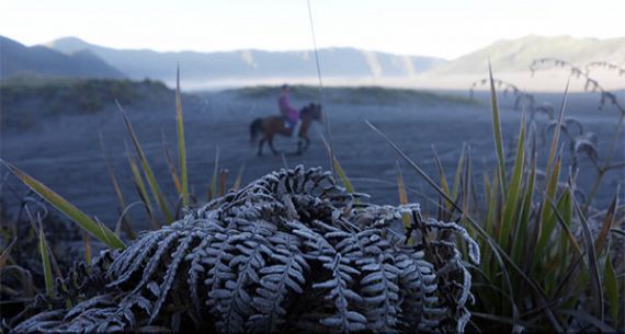 Kawasan Gunung Bromo Terselimuti Es - JPNN.com