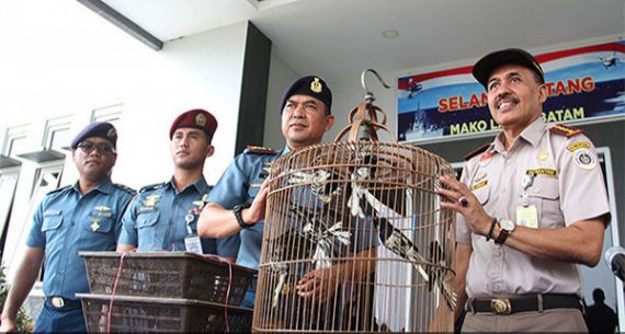 Petugas Gagalkan Aksi Penyelundupan Burung - JPNN.com