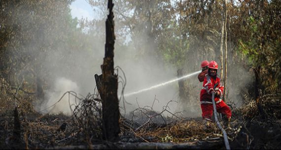 Petugas Berjibaku Padamkan Kebakaran Lahan - JPNN.com