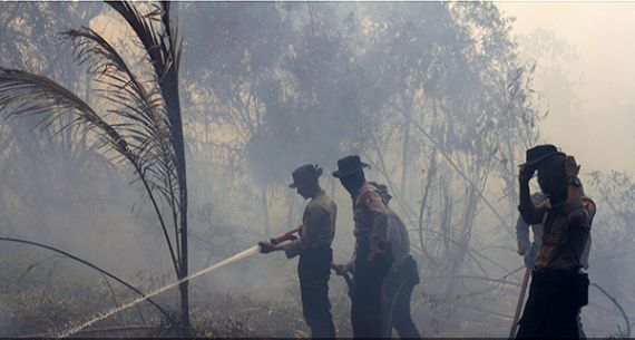 Area Bandara Tjilik Riwut Terbakar - JPNN.com