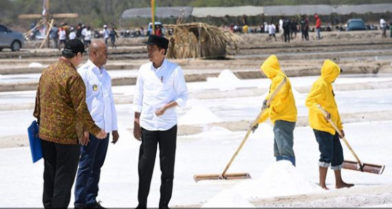 Presiden Jokowi Tinjau Produksi Garam di NTT - JPNN.com