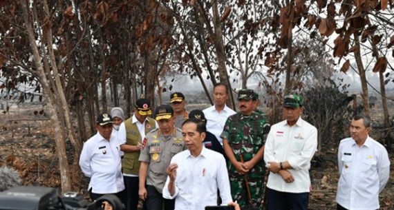 Jokowi Tegaskan Pentingnya Pencegahan Karhutla - JPNN.com