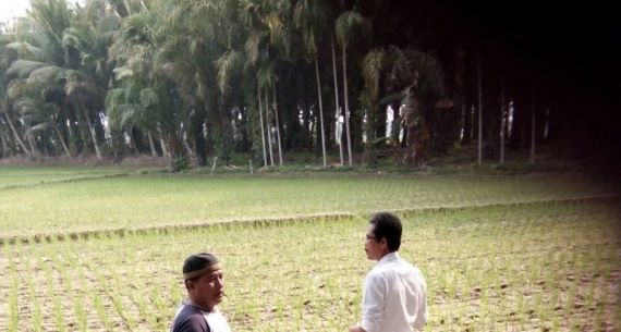 20 Hektare Sawah di Mukomuko Alami Kekeringan - JPNN.com