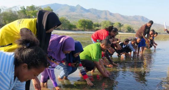 Lestarikan Laut, Nelayan Lepaskan Tukik - JPNN.com