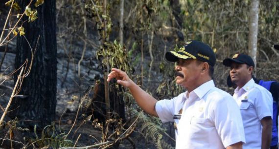 Wabup Gowa Tinjau Lokasi Terdampak Karhutla - JPNN.com