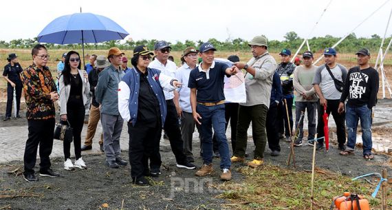 Menteri LHK dan Ketua Panitia HPN 2020 Tinjau Penanaman Pohon Hutan Kota Tropis - JPNN.com