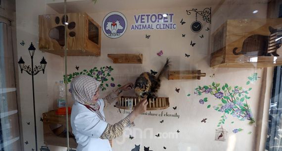 Vetopet Animal Clinic - JPNN.com