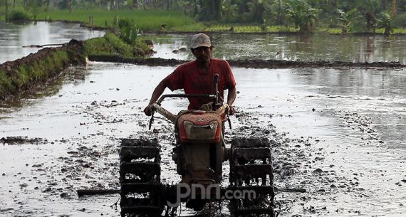 Di Tengah Pendemi, Pemerintah Dorong Produksi Pertanian - JPNN.com