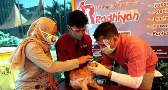 Peringatan Hari Rabies Sedunia - JPNN.com