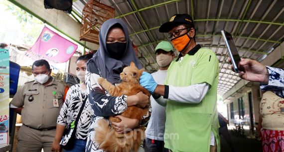 Dinas KPKP Gelar Vaksinasi Rabies Demi Cegah Penularan Covid-19 - JPNN.com