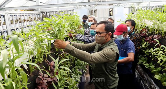 Dorong Sektor Pertanian di Masa Pandemi Melalui Bogor Berkebun - JPNN.com