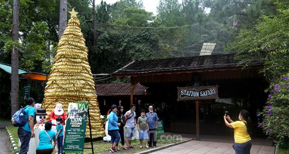 Ajak Warga Jaga Alam & Lingkungan Lewat Pohon Natal dari Botol Plastik Bekas - JPNN.com