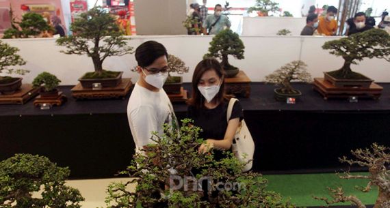 Pameran Bonsai Dalam Rangka Imlek - JPNN.com