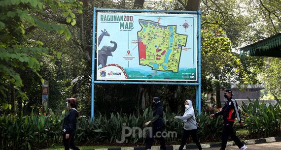 Taman Margasatwa Ragunan Kembali Beroperasi di Masa Pandemi - JPNN.com