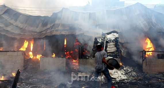 Si Jago Merah Mengamuk di Pasar Kambing Tanah Abang - JPNN.com