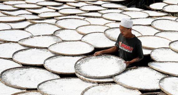 Usaha Pembuatan Tepung Aci - JPNN.com