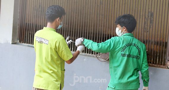 Harimau Sumatera di Ragunan Jalani Swab Test Covid-19 - JPNN.com