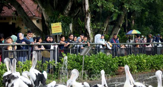 Libur Nataru di Taman Margasatwa Ragunan - JPNN.com