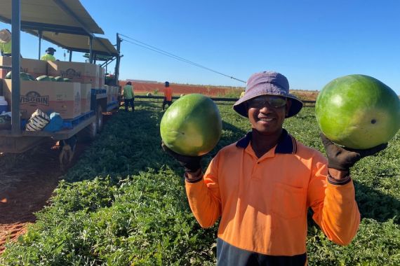 Australia Berjanji Tetap Buka Pintu untuk Pemetik Buah Asal Timor Leste - JPNN.COM