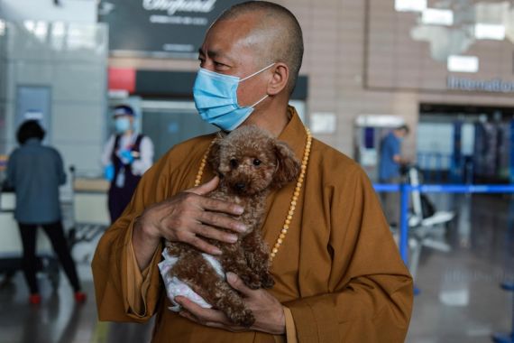 Biksu Buddha Tiongkok Habiskan Miliaran Rupiah Setiap Tahun demi Selamatkan Berbagai Jenis Hewan - JPNN.COM