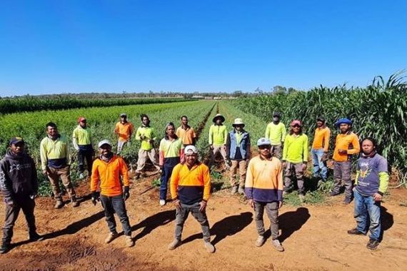 Warga Timor Leste Bisa Menjadi Jawaban Kekurangan Pekerja di Sektor Pertanian di Australia - JPNN.COM