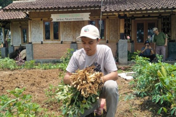 Perubahan Iklim Berdampak Pada Petani Muda Indonesia, Terutama Gagal Panen yang Besar - JPNN.COM