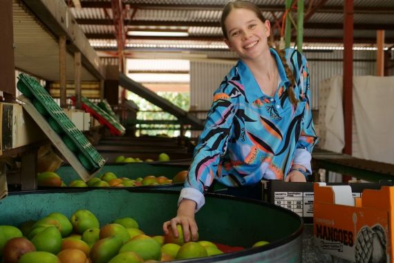 Petani Mangga di Queensland, Austalia Mendorong Anak-anak Muda Bekerja di Kebunnya - JPNN.COM