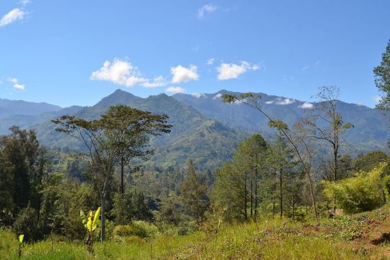 Penyandera Menuntut Uang Tebusan untuk Membebaskan Profesor Australia di Papua Nugini - JPNN.COM