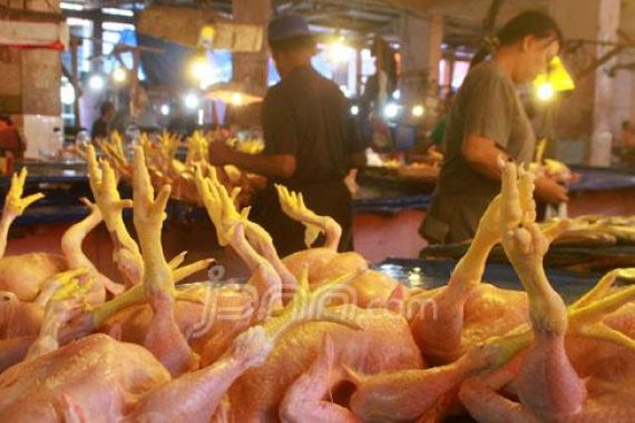 Stok Daging Ayam Masih Banyak, Tapi Harganya Naik Sebegini - JPNN.COM