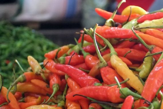 Harga Cabai Rawit Merah Tembus Rp 80 Ribu Per Kilogram - JPNN.COM