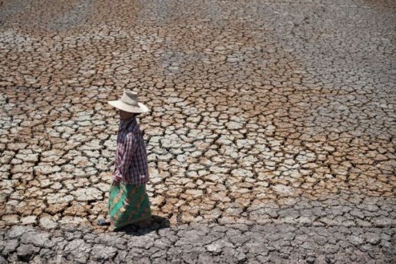 Ratusan Hektare Sawah Kekeringan di Tanahdatar - JPNN.COM