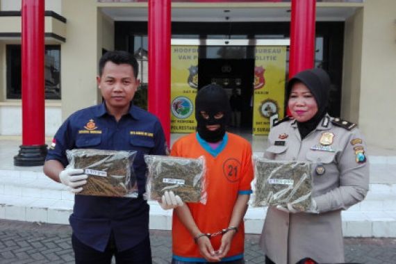 Residivis Bisnis Ganja dari Aceh ke Surabaya - JPNN.COM