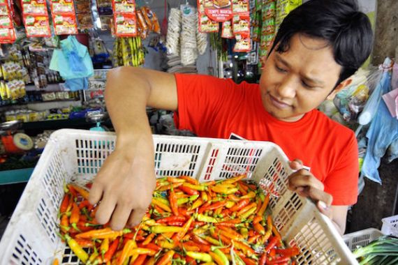 Harga Tembus Rp 180 Ribu/Kg, Cabai Setan Makin Seram - JPNN.COM