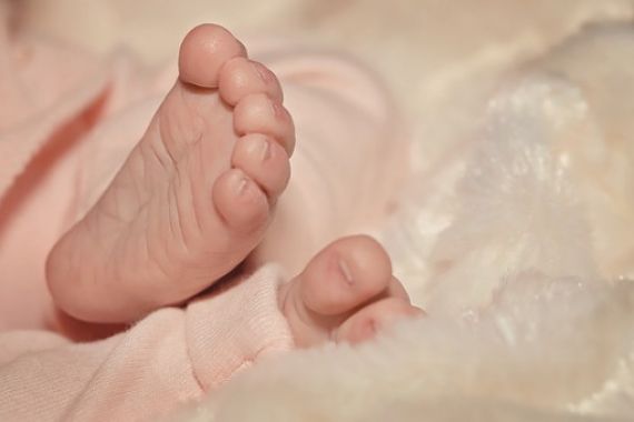 Hayo Ngaku, Siapa Membuang Bayi di Gudang Kayu? - JPNN.COM