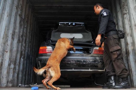 Mobil Mewah Diendus Anjing Pelacak Ini Milik Siapa? - JPNN.COM