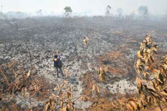 Polda Riau Sikat 8 Pelaku Pembakaran Lahan - JPNN.COM