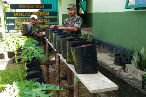 Gubernur: Ndak Makan Cabai, Tidak Mati - JPNN.COM