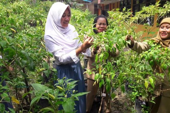 Program PNS Tanam Cabai, Satu Pohon Saja - JPNN.COM