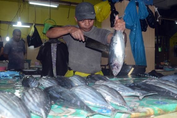 Ikan Cakalang Asal Maluku Tembus Pasar Jepang Berkat Tim Percepatan Ekspor - JPNN.COM