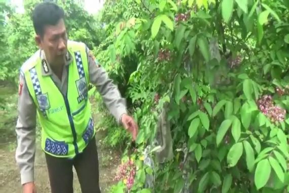 Aiptu Sri Welas, Polisi Sukses Jadi Petani - JPNN.COM