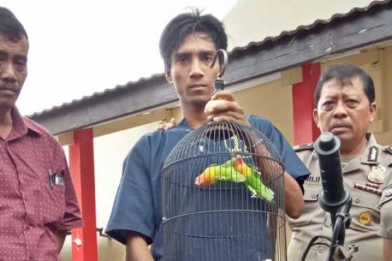 Burung Prajurit TNI AL Dicuri - JPNN.COM